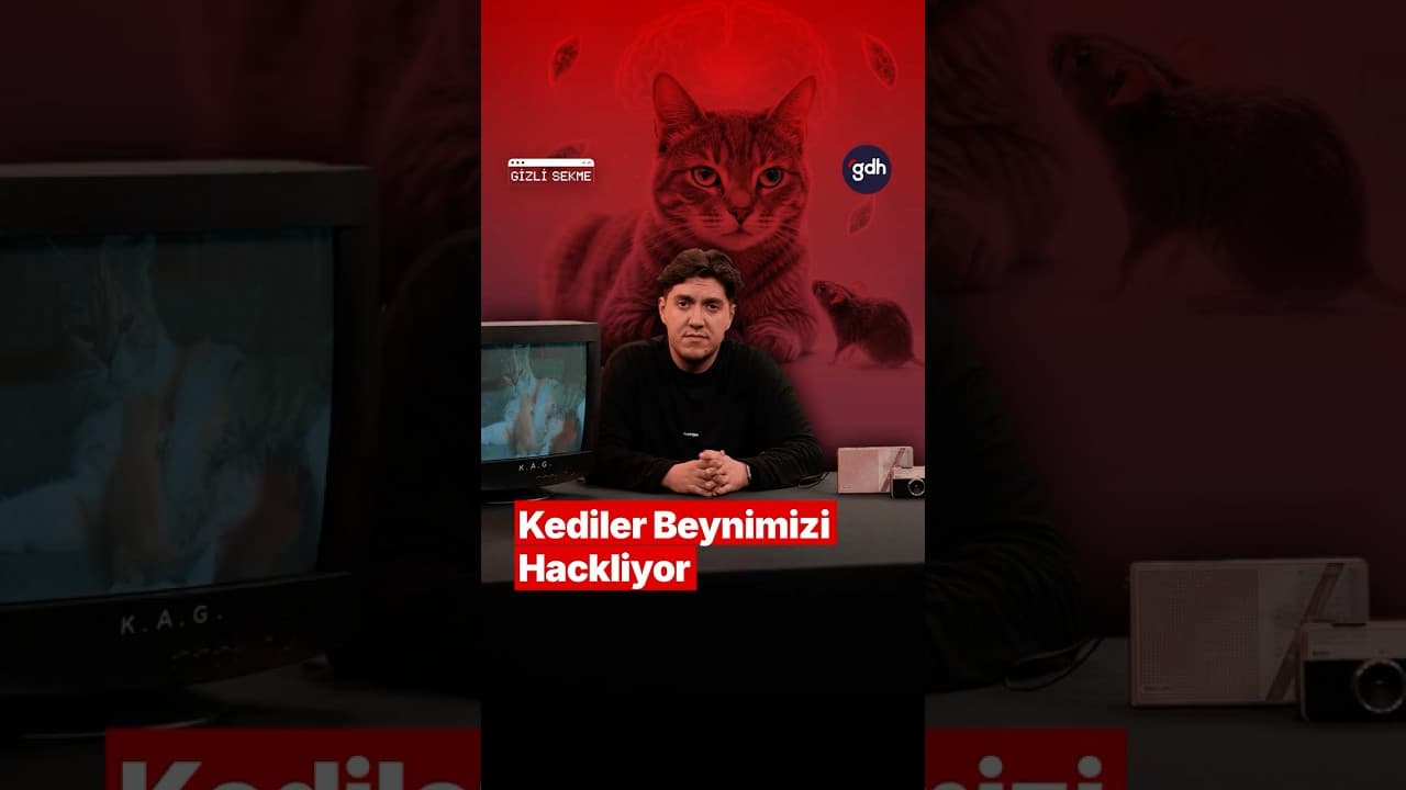 Özgür İradenizi Çalan Parazit: Kediler Bizi Nasıl Kontrol Ediyor? thumbnail